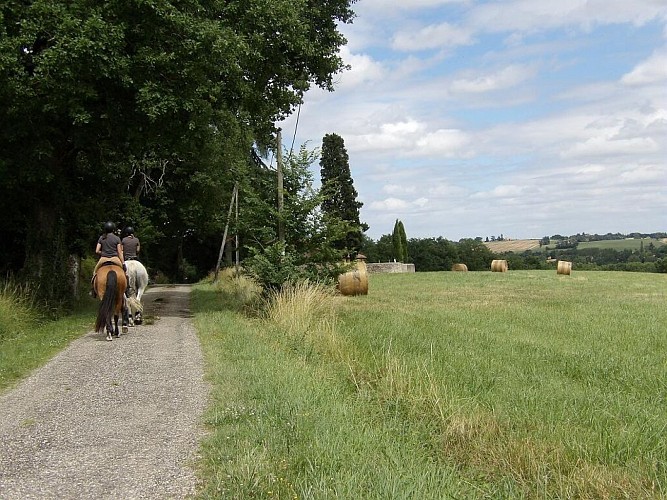 Vers la chapelle de Flarembel