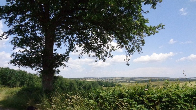 Balades Vertes Blanzy : vue campagne