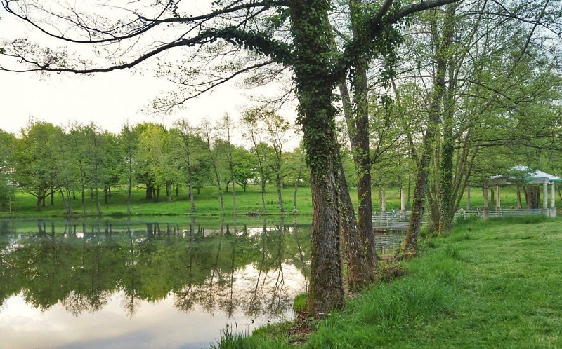 Balades Vertes Blanzy : étang des Mirauds