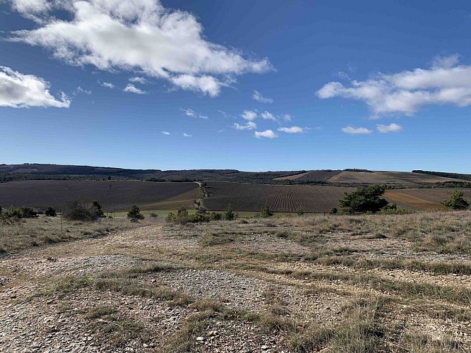 VTT n°15 - Les lavandes de Ballagros