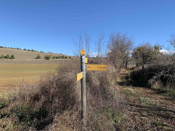 VTT n°15 - Les lavandes de Ballagros