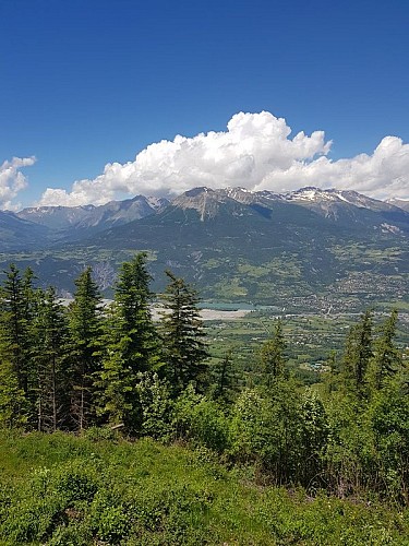 Le Mont-Guillaume depuis le belvédère de Plat Aiguille