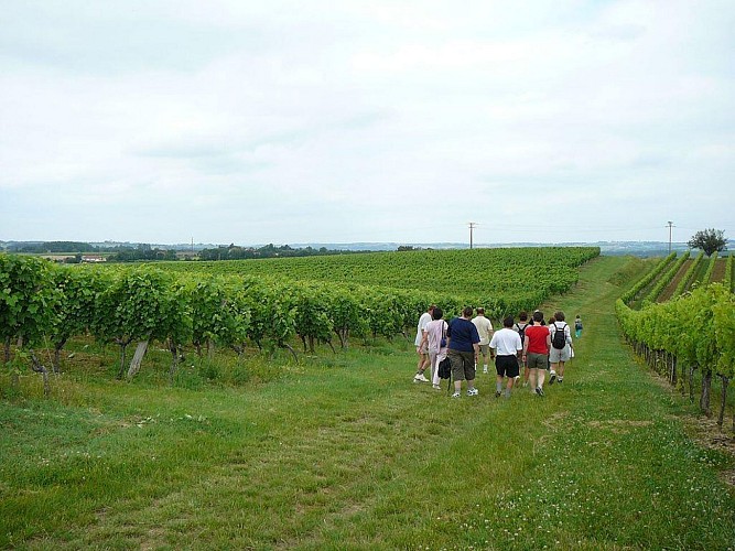 Randonnée à Cassaigne