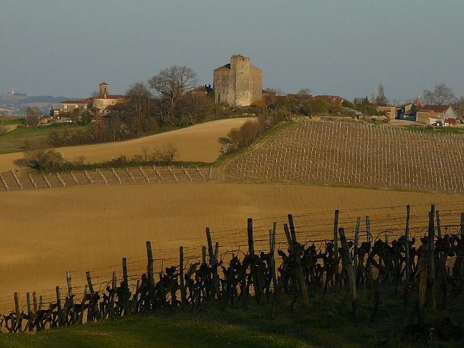 Village de Mansencôme et son château gascon