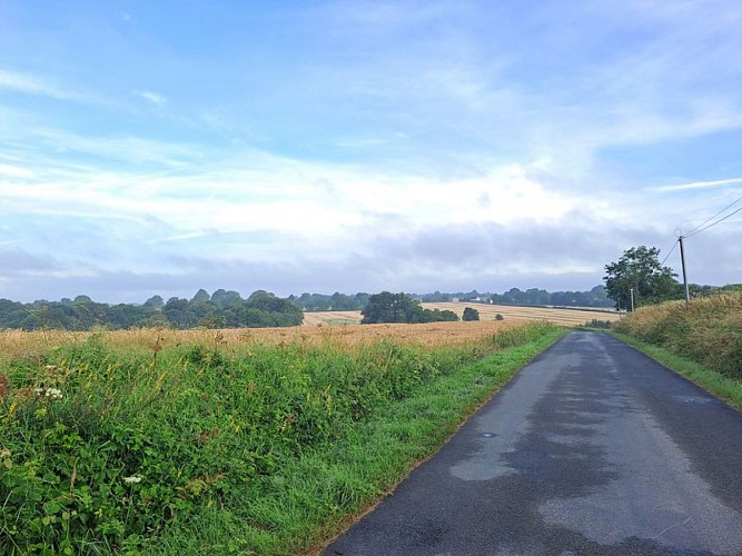 Nobles Logis (Dancé)