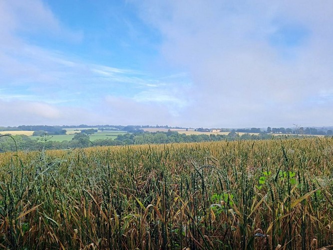 Nobles Logis (Dancé)