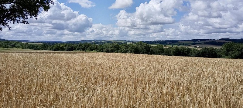 Vue sur la vallée de la Baïse