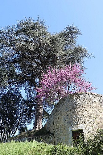 Sentier de la Baïse