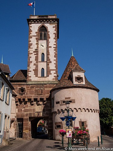 Mountainbike-Rundkurs 8 - La Cigogne (Der Storch)