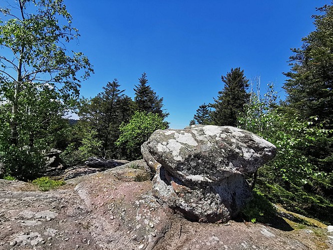 Schneeberg hiking trail