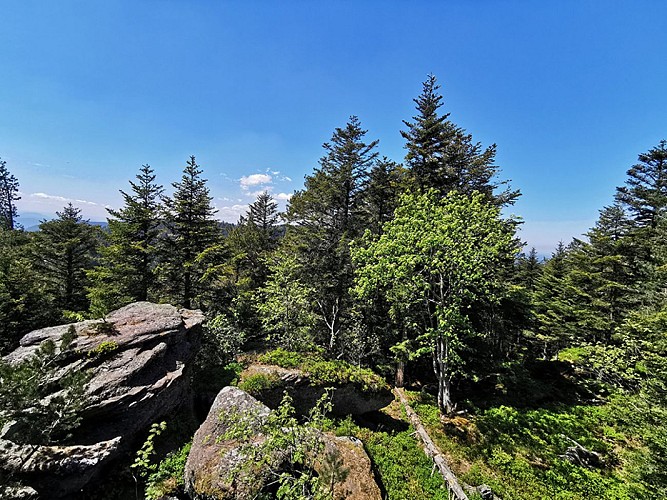 Schneeberg hiking trail