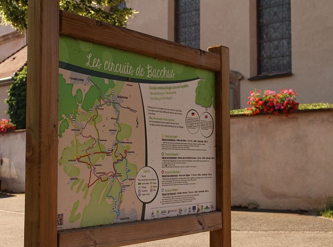 Les circuits de Bacchus - The Rutscherle