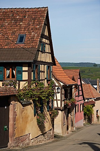 Les circuits de Bacchus - The Rutscherle