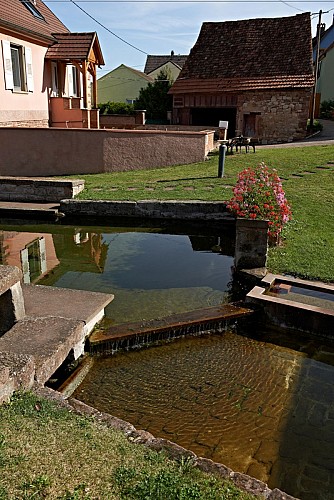 Les circuits de Bacchus - The Rutscherle