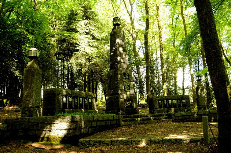 Bois du Thouraud ©OTCSO