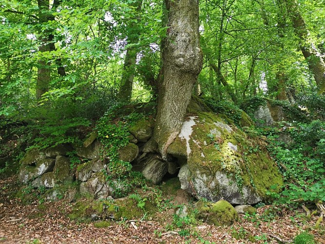 boucle n°52 ©bsavarypro (4)