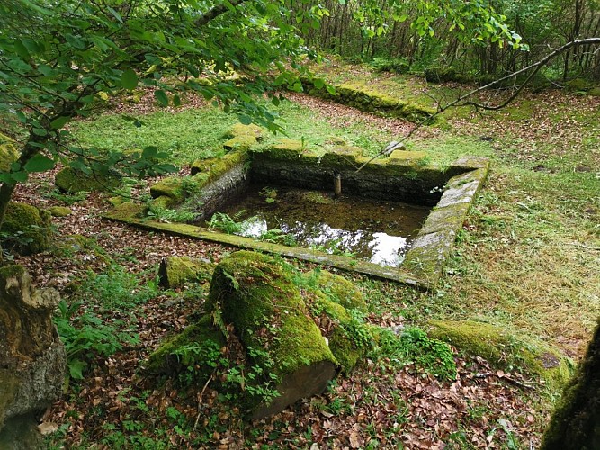 boucle n°52 ©bsavarypro (3)