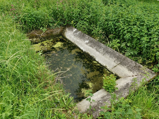 boucle n°52 ©bsavarypro (1)