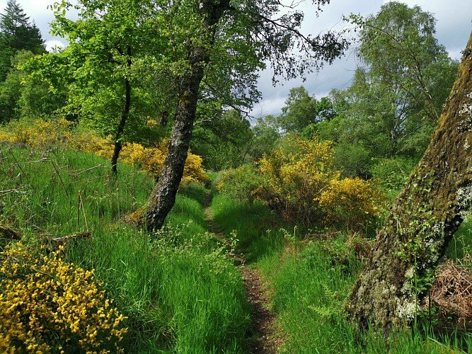 IMG_20190615_165424 (Large)