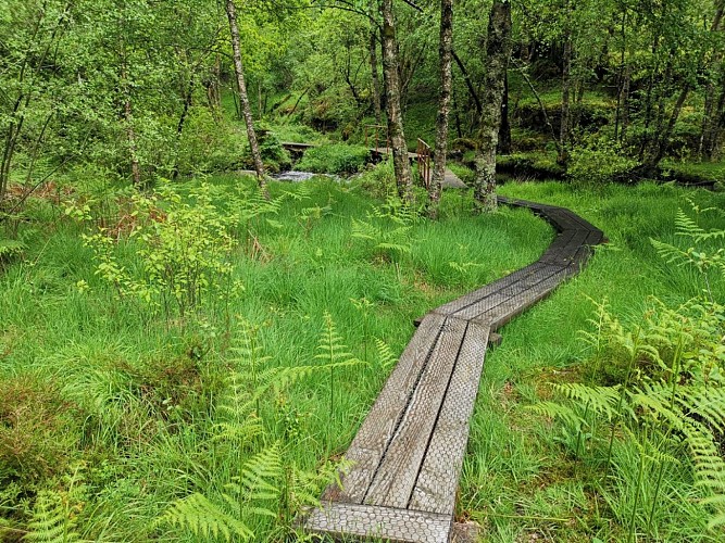 IMG_20190615_155426 (Grand)