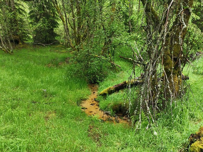 IMG_20190615_154017 (Grand)