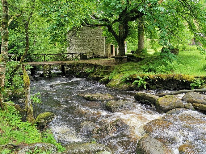 IMG_20190615_153243 (Grand)