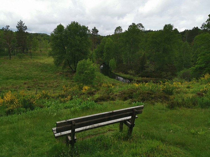 IMG_20190615_154521 (Grand)