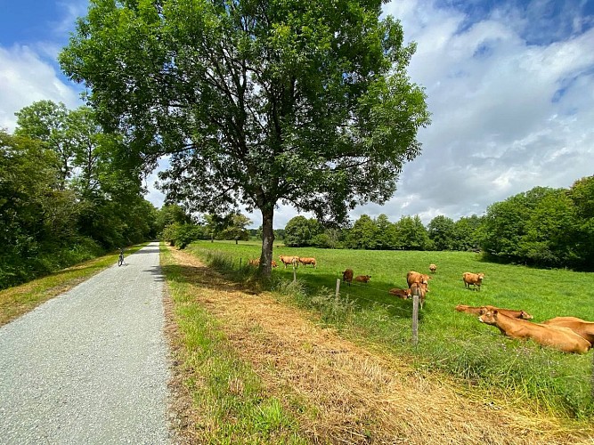 IMG_4936 SPL Terres de Limousin