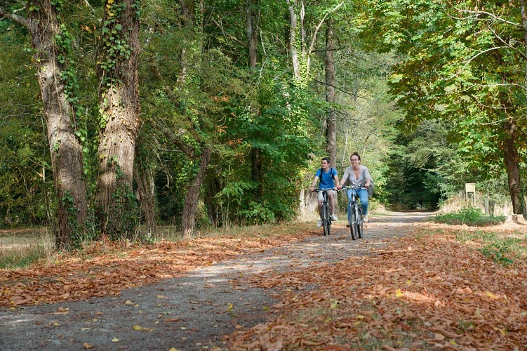 Domaine de l'Escurays, Prinquiau