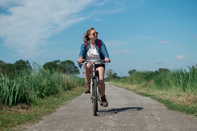 Les marais d'Estuaire et Sillon