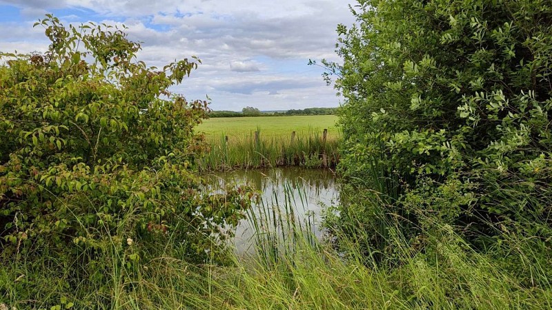 Etang | Woëvre Meuse