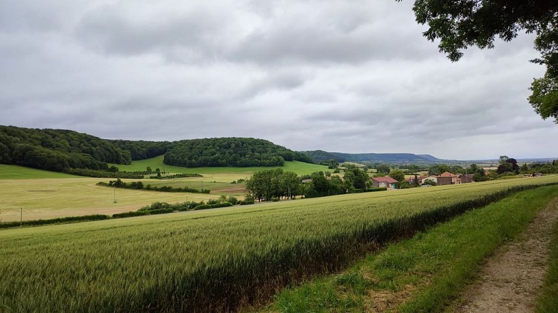 Varnéville - Les Côtes de Meuse