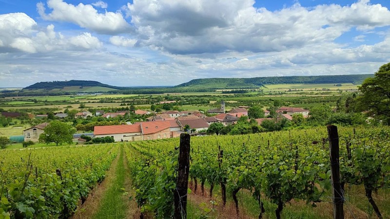 Panorama - Buxieres, la plaine, la butte de Montsec