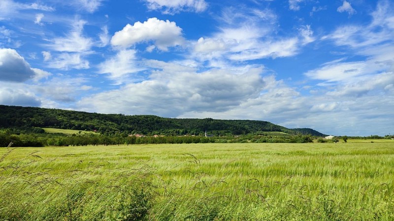 Dans la plaine sous les cotes | Meuse