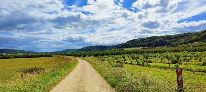 L'ancienne voie ferrée sous les cotes