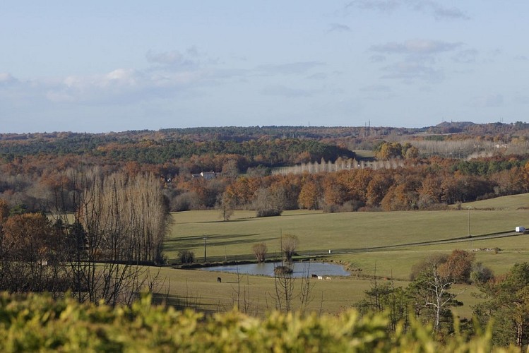 Paysages campagne Montpeyroux © MC Grasseau - OT Bergerac (2)