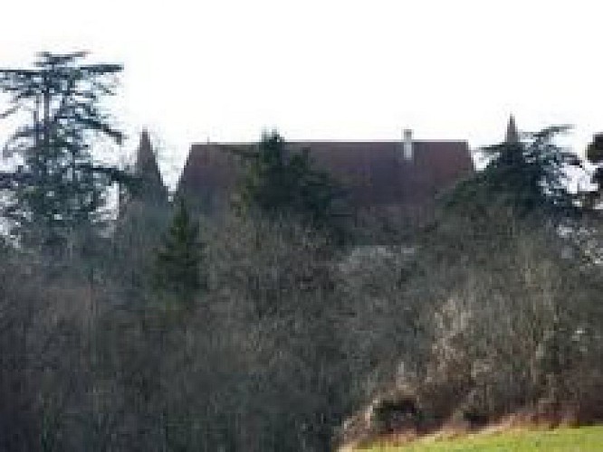 Chateau-de-Puyfferat