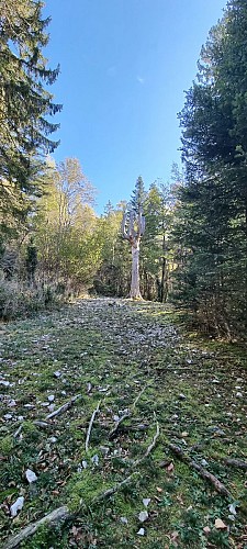 Randonnée - Du Landeyron aux fècles