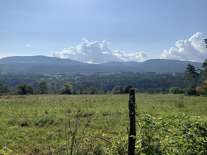 Sentier de randonnée - Boucle de Maillat