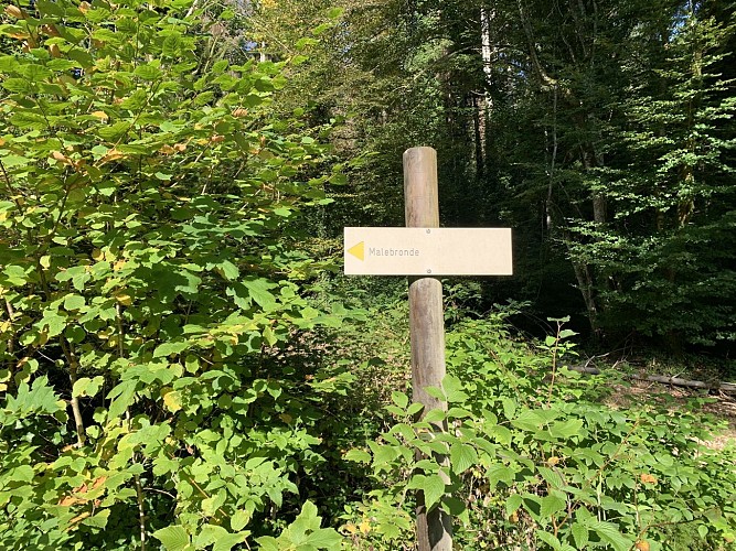 Sentier de randonnée - Boucle de Maillat