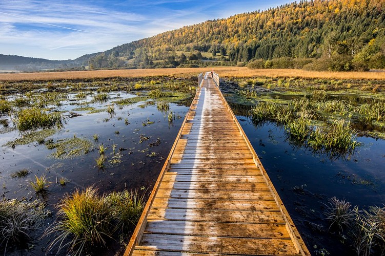 Parcours VTT 50 vert - Tour  des Lésines - Espace FFC Ain Forestière