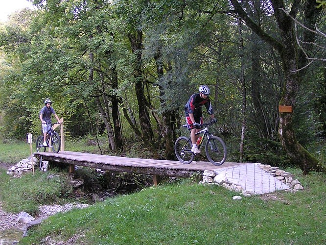 Parcours VTT 50 vert - Tour des Lésines - Espace FFC Ain Forestière