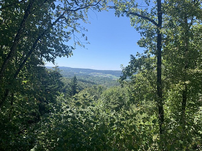 Le sentier du Bois de Ban