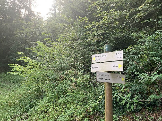 Le sentier du Macretet