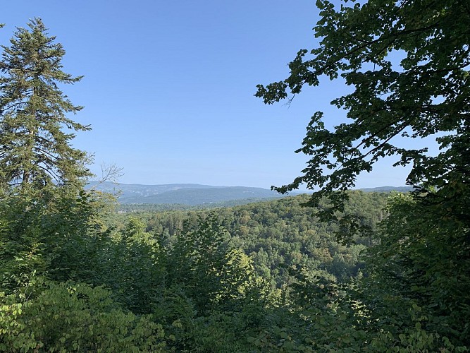 Le sentier du Macretet