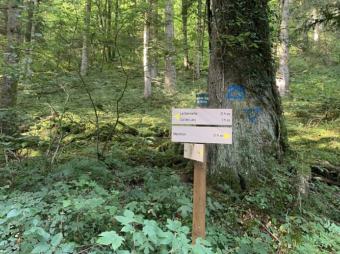 Le sentier du Macretet