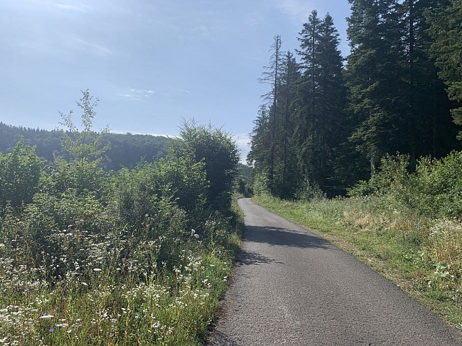 Le sentier du Macretet