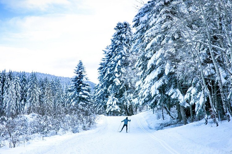 Piste verte de ski nordique - Simon Desthieux