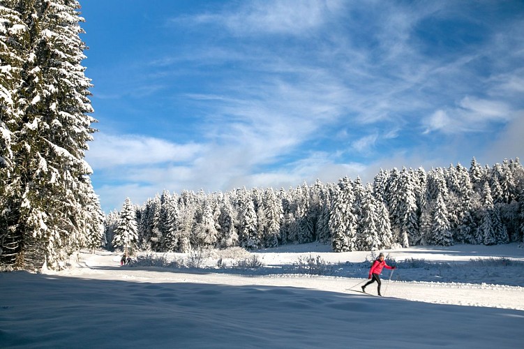 Piste verte de ski nordique - Simon Desthieux