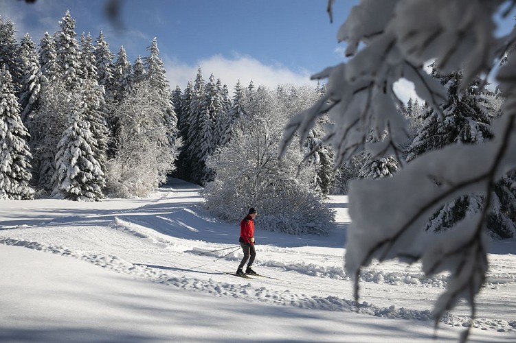 Piste verte de ski nordique - Simon Desthieux